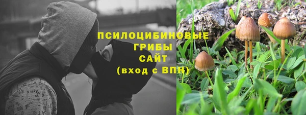 ешки Алзамай