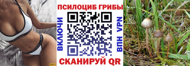 Галлюциногенные грибы Psilocybe  MEGA ссылка  Карабаново 
